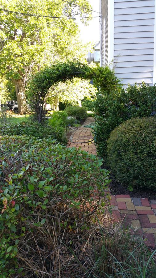 Fig Tree Manor Bed & Breakfast Palestine Exterior photo