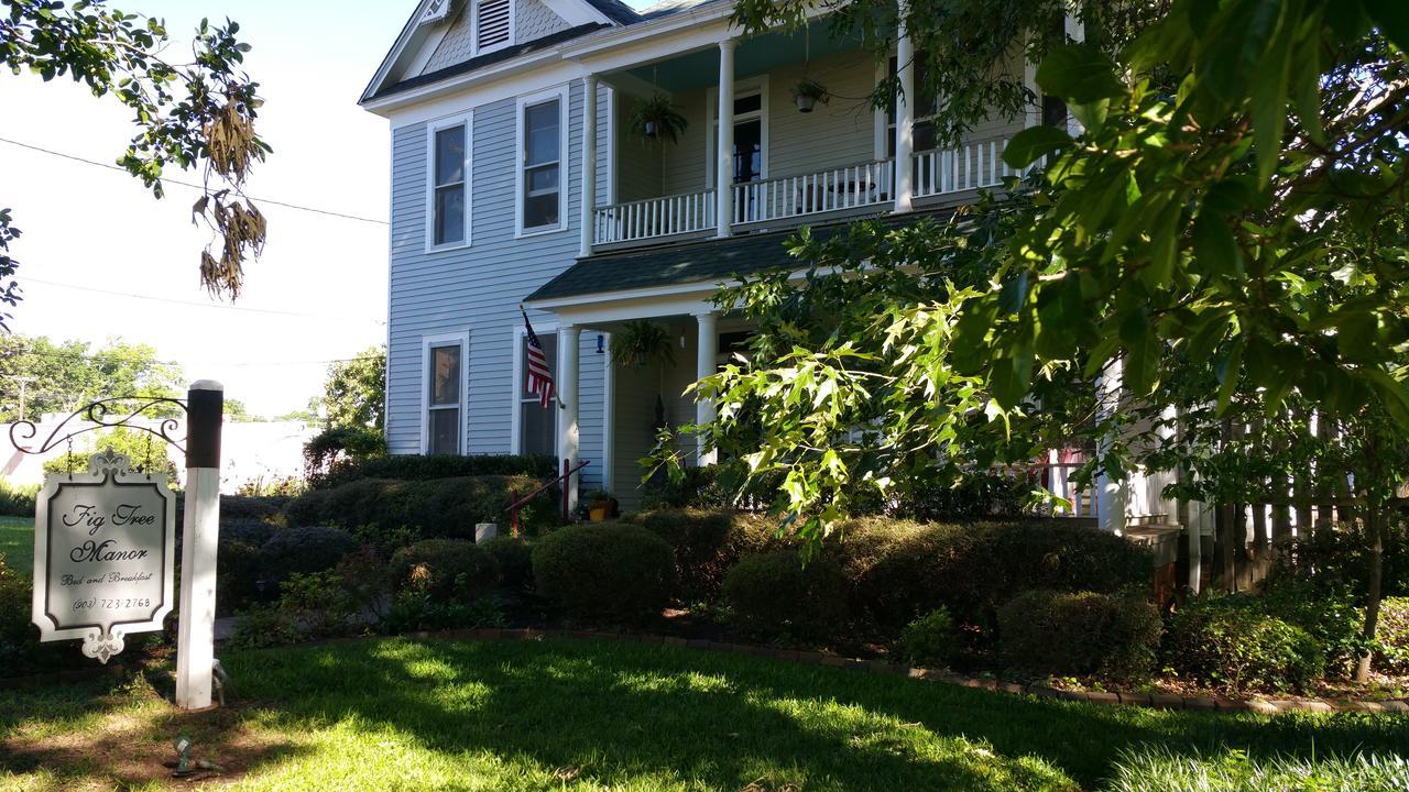 Fig Tree Manor Bed & Breakfast Palestine Exterior photo