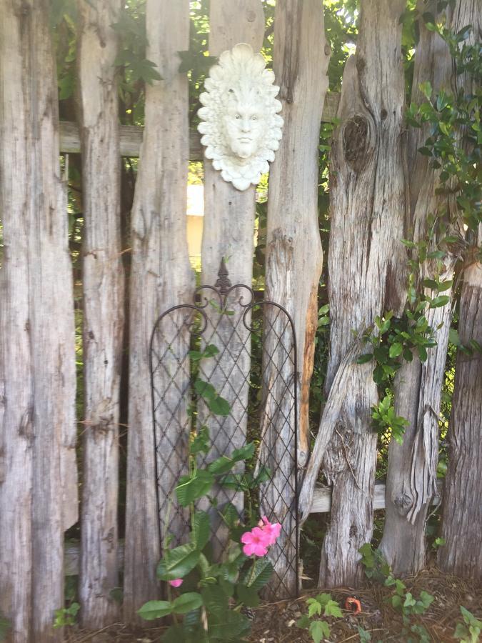 Fig Tree Manor Bed & Breakfast Palestine Exterior photo